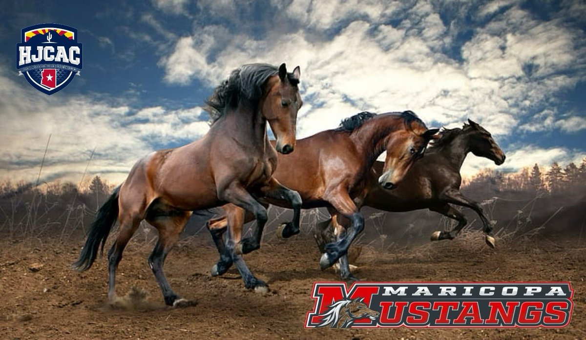 MaricopaMustang's tweet photo. If you are thinking about playing JuCo football, send us a DM! 

We are still recruiting multiple positions! HS Grads and College Transfers send us a DM to get connected w/ a Coach to learn about how we can help you reach your goals!

#GetRecruited #LetsRide #StangGang #AZJucoFB https://t.co/tEAK47V7B0