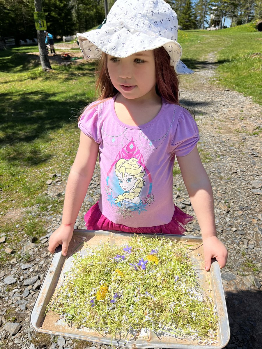 MvecP's tweet photo. More outside fun for our MVEC Pre Primaries. How are we almost done. @nseducation @HRCEHealthPromo @HRCE_NS #flowers #sun #frogs https://t.co/ryvKfaMv5P