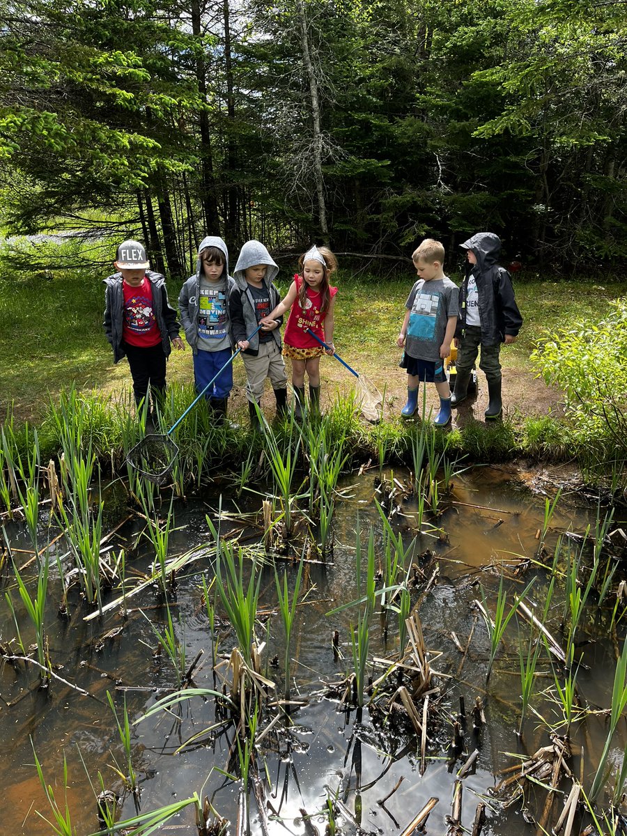 MvecP's tweet photo. More outside fun for our MVEC Pre Primaries. How are we almost done. @nseducation @HRCEHealthPromo @HRCE_NS #flowers #sun #frogs https://t.co/ryvKfaMv5P