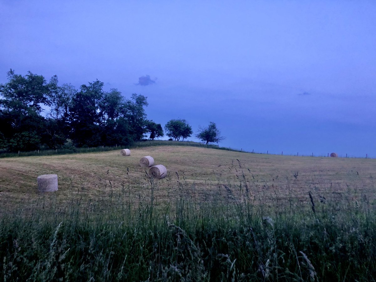 otterschnauzer's tweet photo. Hayfield at dusk, late spring in #CarrollCounty #Maryland 
#MdWx #farm #farmlife #hay #dusk #spring #stormysky #clouds #firstcutting https://t.co/t5xDBvJWSm