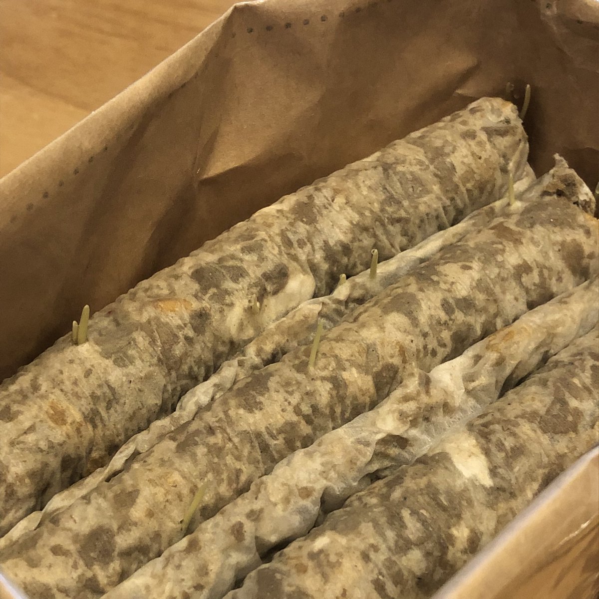 chako_degu's tweet photo. 無印良品の「猫草栽培セット」2個入りで190円(安い！)
4日で芽が出てきました。生牧草バイキングの準備は着々と進んでいます。 https://t.co/yxpvLwe99D