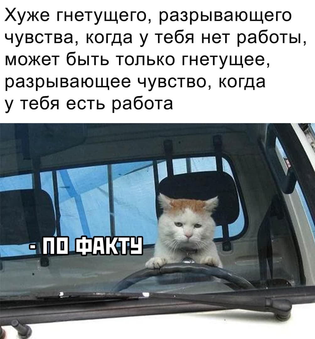 Прокладка между рулем и сиденьем прикол