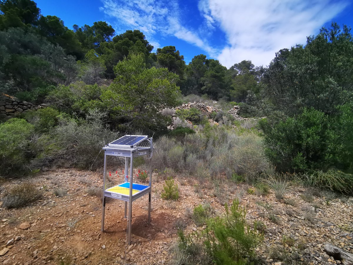 mikel_heredia's tweet photo. Nuestra primera trampa electrónica ya está instalada en la isla Dragonera (Mallorca, Islas Baleares).
We have intalled the first electronic trap in the island of Dragonera (Balearic Islands, Spain). @ento_e @ZoologiaUIB https://t.co/ffyqlpb0dv