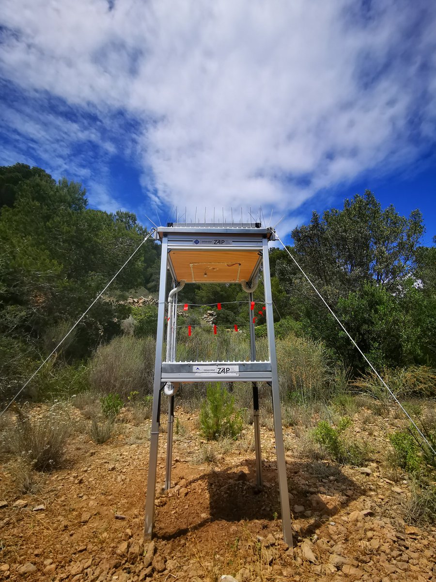mikel_heredia's tweet photo. Nuestra primera trampa electrónica ya está instalada en la isla Dragonera (Mallorca, Islas Baleares).
We have intalled the first electronic trap in the island of Dragonera (Balearic Islands, Spain). @ento_e @ZoologiaUIB https://t.co/ffyqlpb0dv