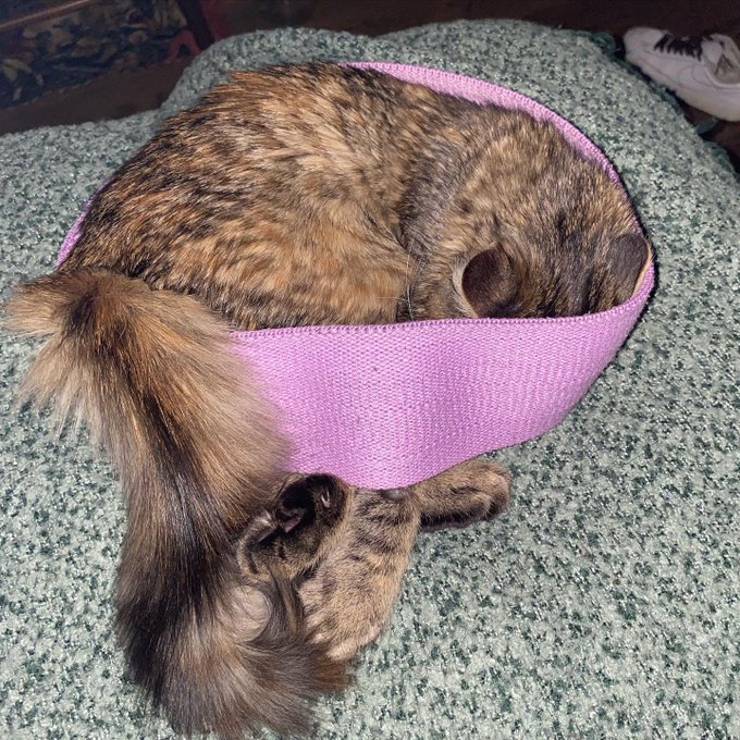 GROWING https://t.co/YDlOqJX3cN