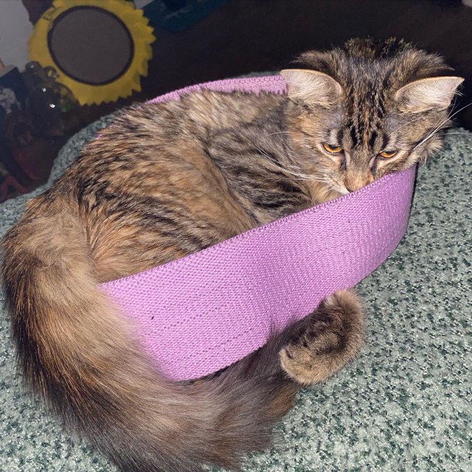 GROWING https://t.co/YDlOqJX3cN