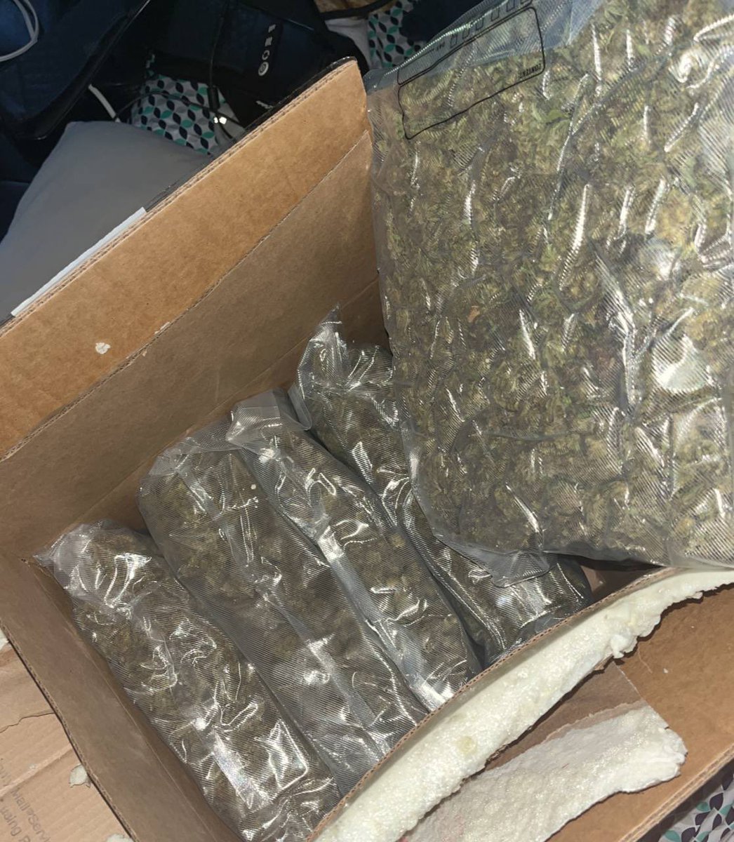 paper_bwoyK's tweet photo. @PlayboiKrazy_ 🔘Top Shelf Gaz ⛽️⛽️⛽️
🔘Quality Carts 💦 💦 💦
🔘Best Extracts 🍯 🍯 🍯 
🔘Premium Pre Rolls 💨 💨 💨
🔘Edibles And More ❕❕❕
🔘Join Telegram👉📱  https://t.co/w38qzlWlLX https://t.co/D43yp0qCLD