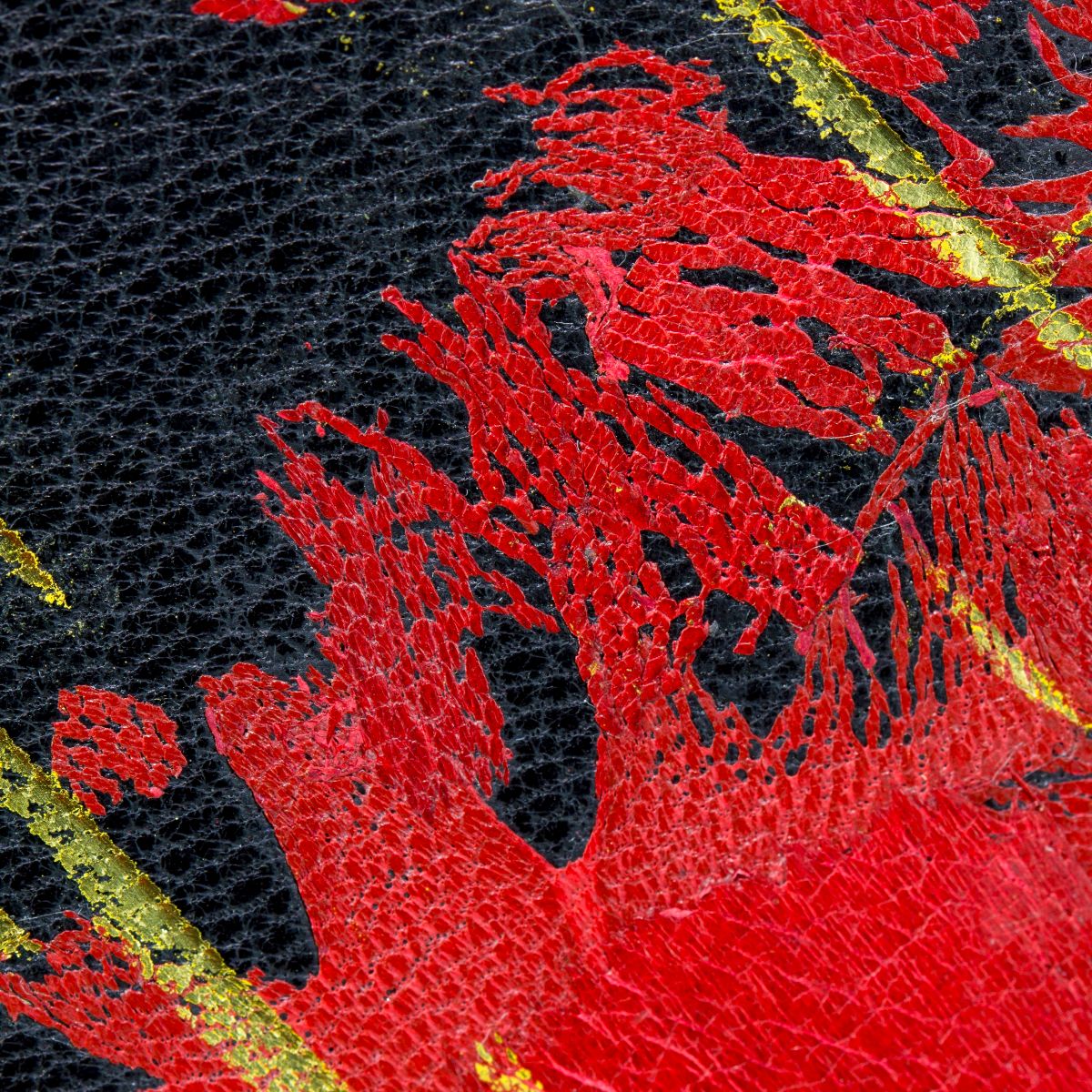 SFCenterfortheBook tweet media