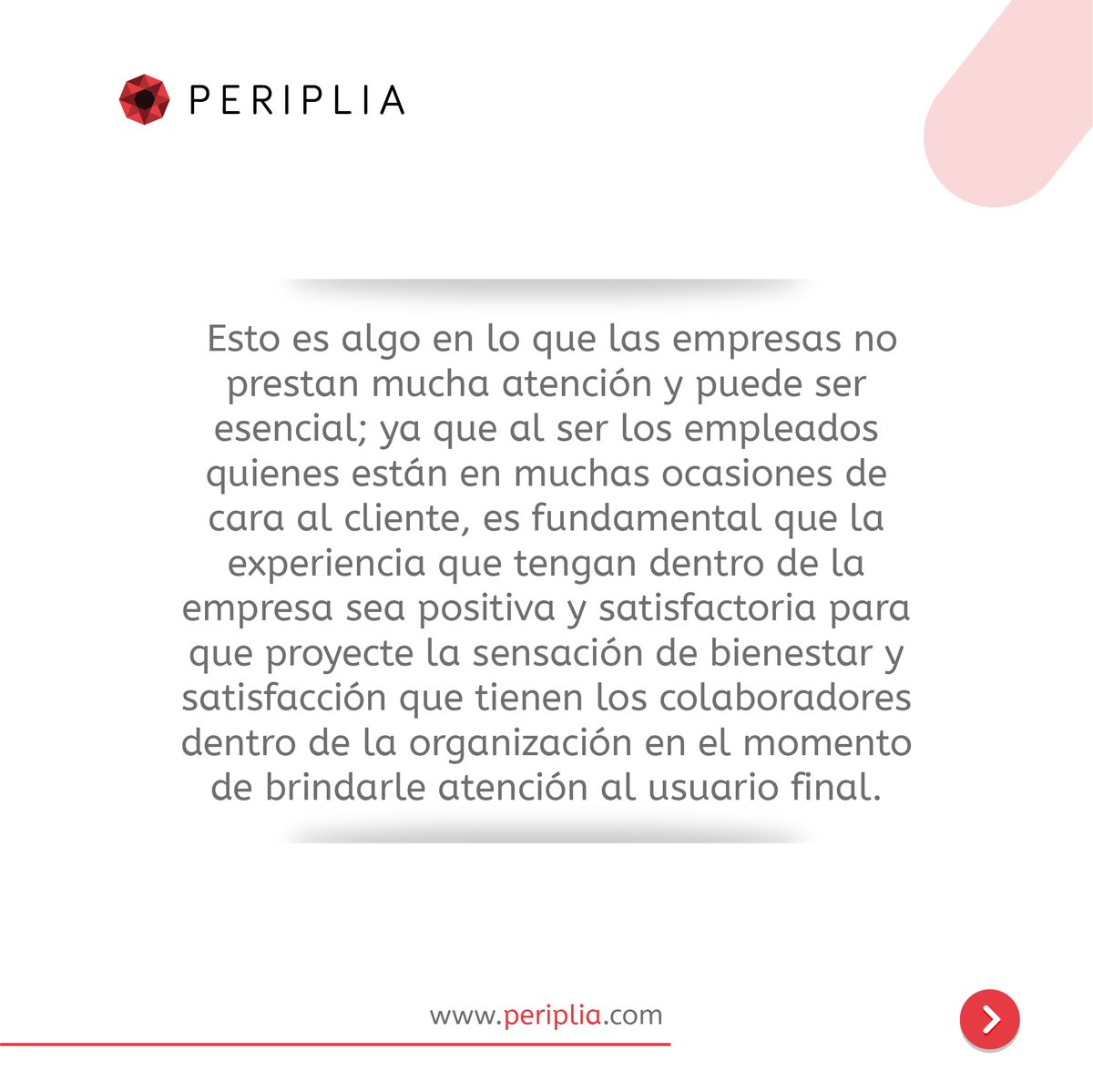 Periplia tweet media
