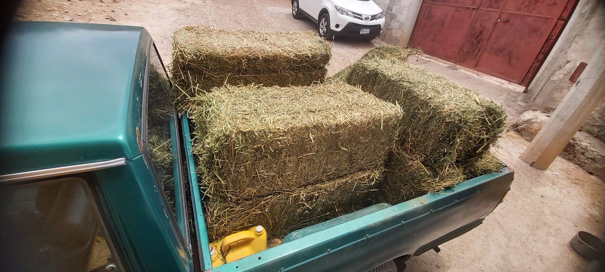 BenjaminQro2021's tweet photo. Alimento para los borregos 🐏🐑 https://t.co/ULcrMVZND5