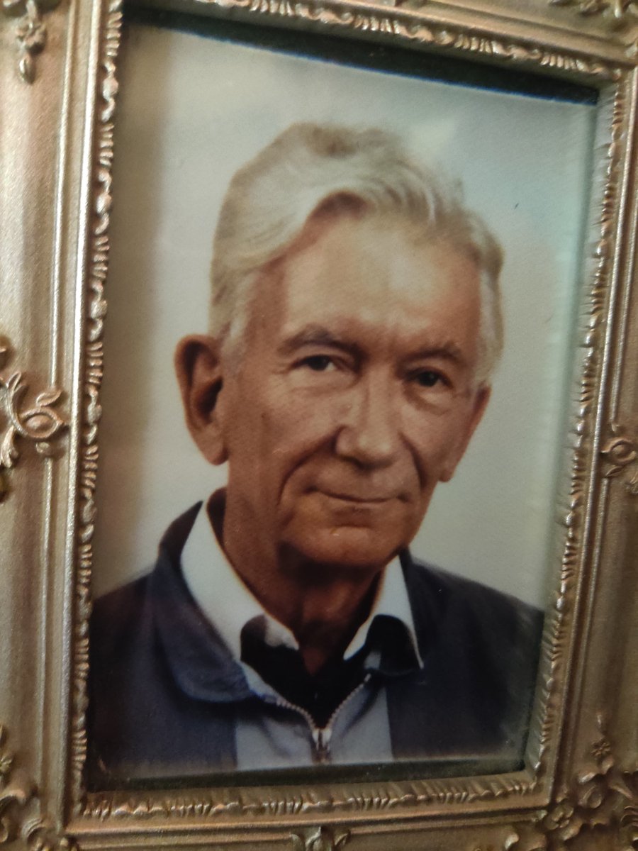 Daniel Lloyd tweet media