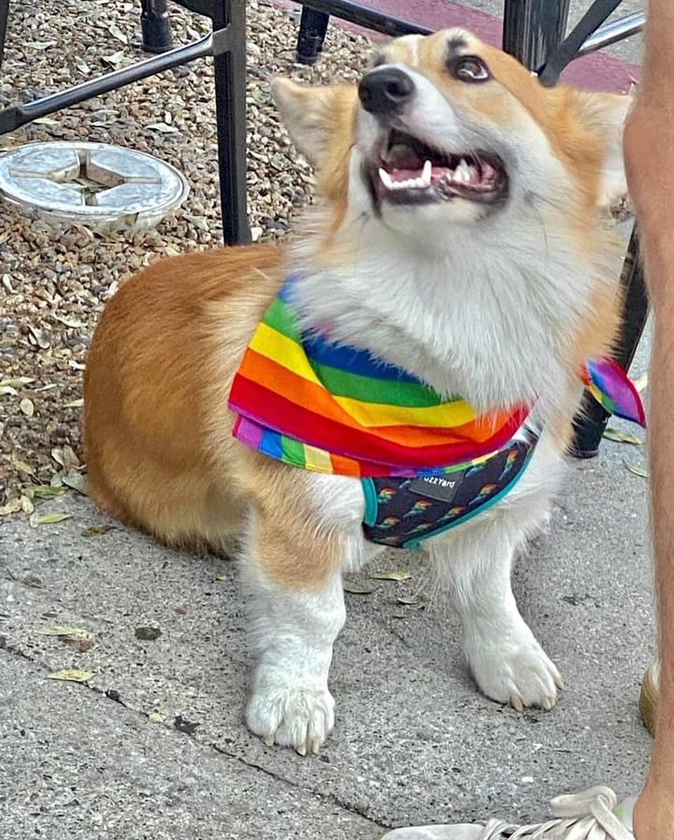 We are geared up &amp; ready for WeHo Pride Weekend!  We are celebrating our Anniversary of 15 years!  The St Felix concept was born on a June Pride Weekend right in the ❤️ of West Hollywood!  We are extending the Patio Sat &amp; Sun to execute your favorite Award Winning Spirits &amp; Fare!