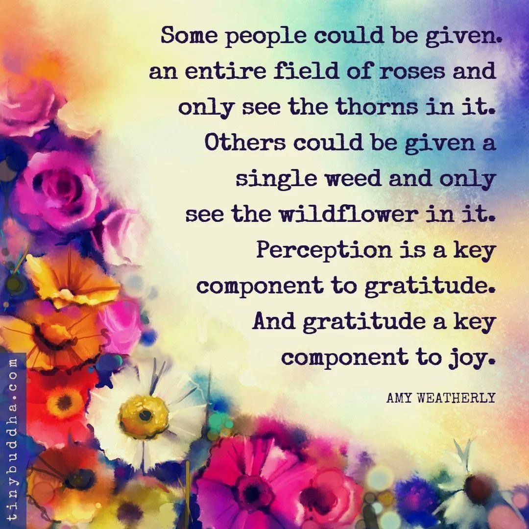 "Some people could be given an entire field of roses and only see the thorns in it. Others could be given a single weed and only see the wildflower in it. Perception is a key component to gratitude. And gratitude a key component to joy." ~Amy Weatherly