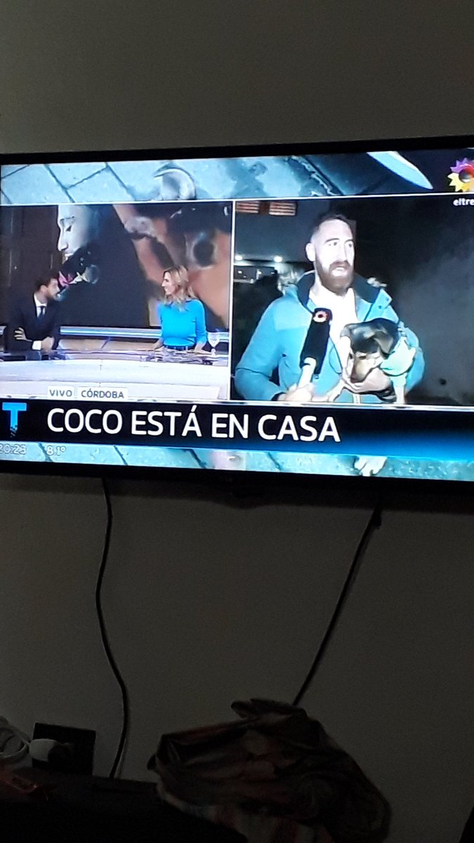DarthQueenie's tweet photo. Al fin Coco en casa!!!!

#CocoLibre  #coco #LiberenACoco https://t.co/UW8zzAHwTD