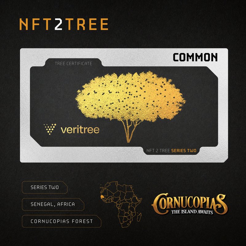 tinydinos.ada tweet media