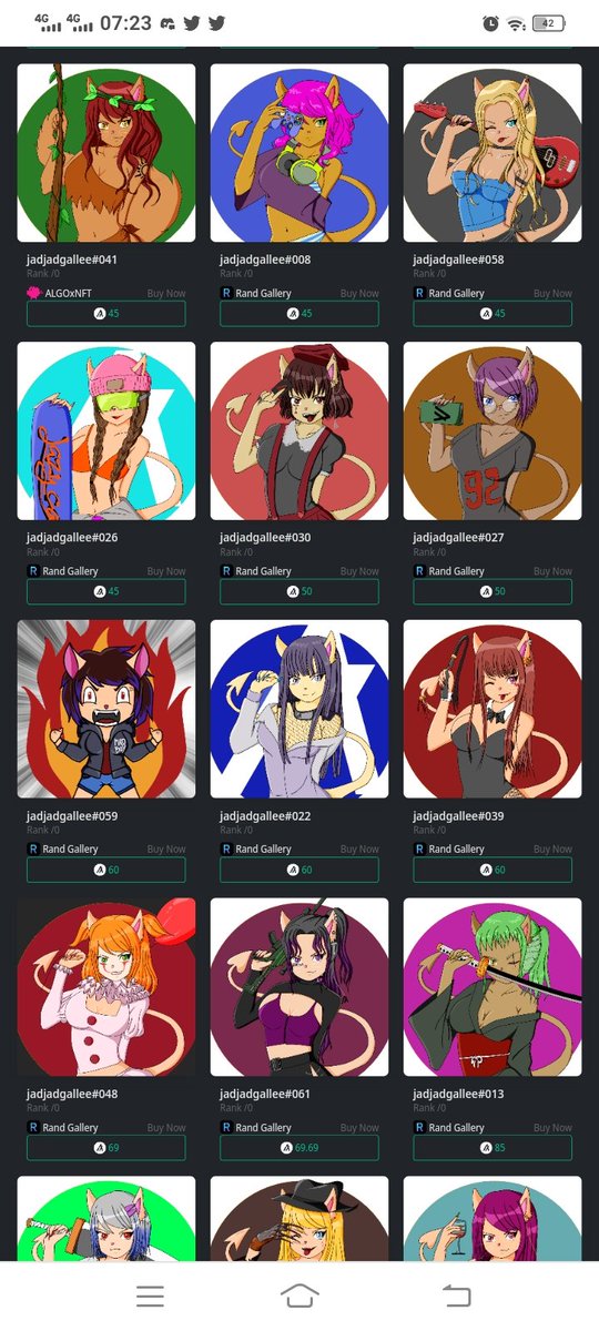 lazycatAlgo tweet media