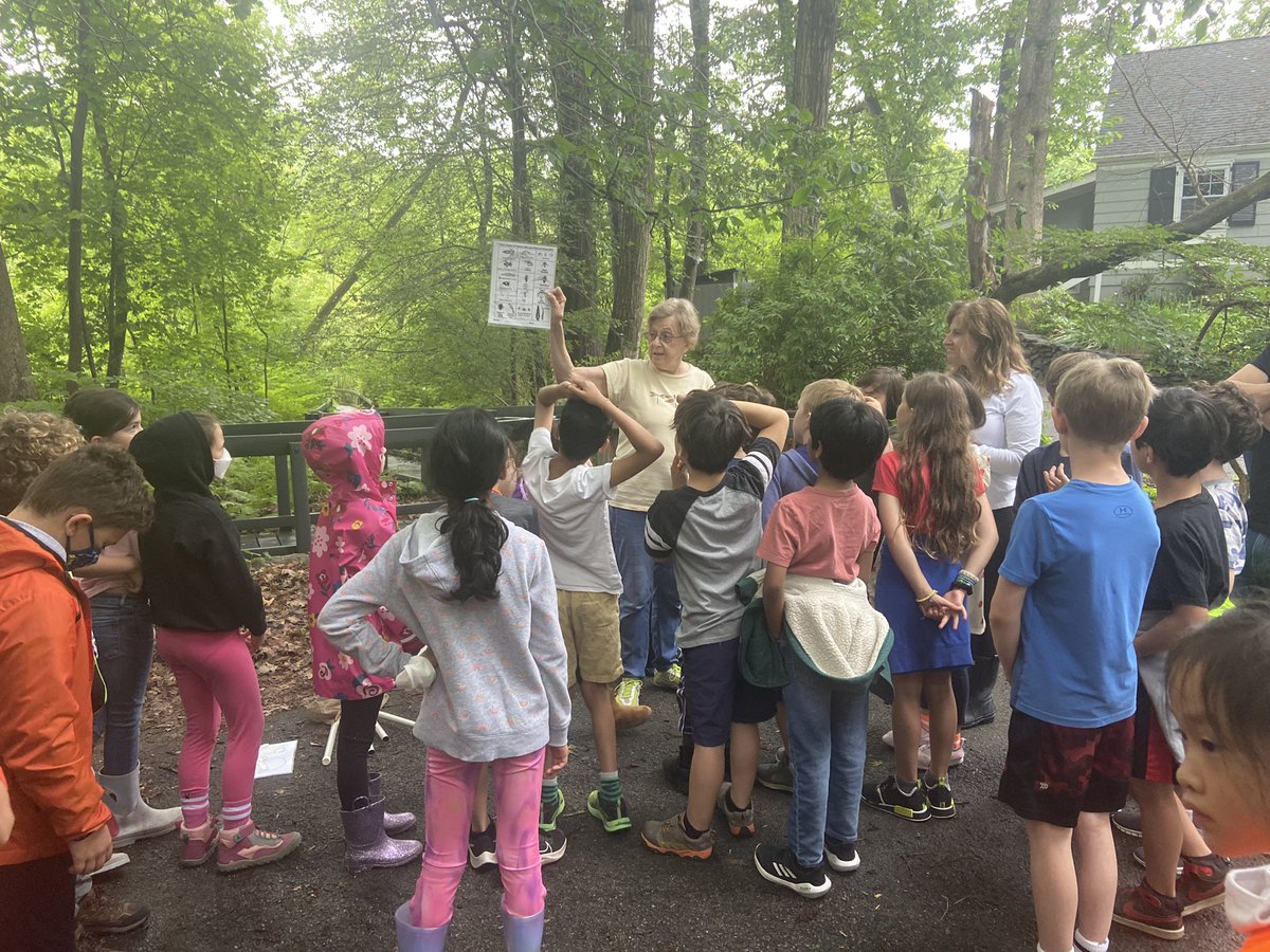 Scientists on an expedition today in Chappaqua’s Pinecliff Sanctuary!