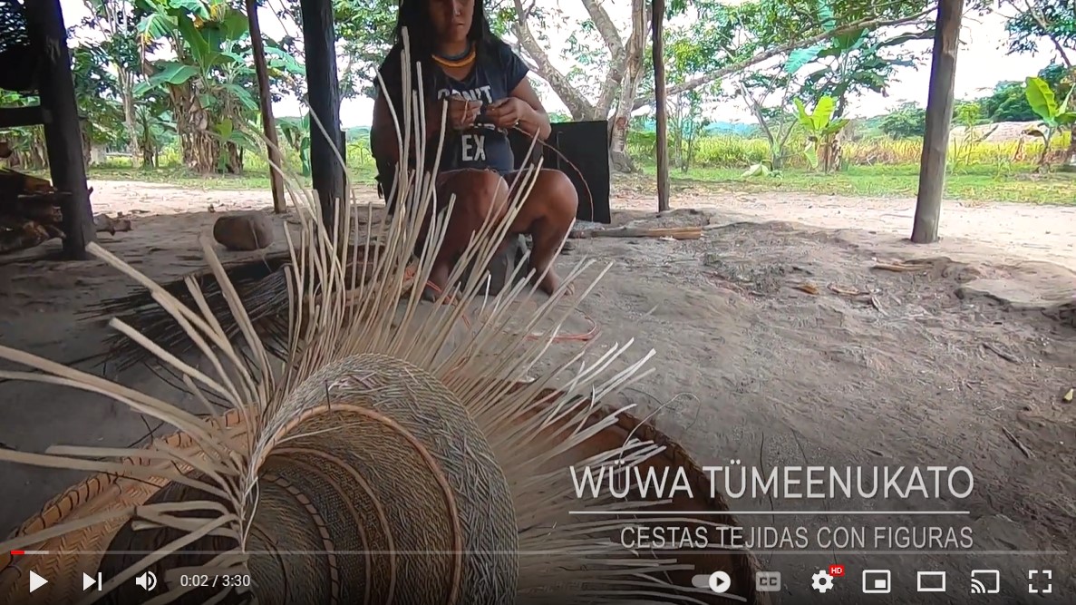 acoanaorg's tweet photo. #VideosParticipativos | Wüwa Tümeenukato - Cestería Ye'kwana 
https://t.co/CbxKyGmwRo https://t.co/4hMYkKfXdE