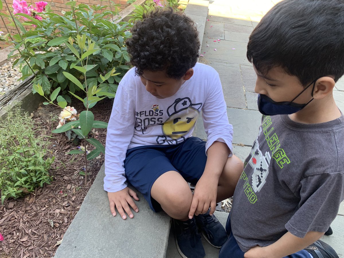 Nancy51876276's tweet image. THIS is why I LOVE being a teacher!🙌❤️These moments are priceless!❣️
#butterflylifecycle 
#3rdgradersrock