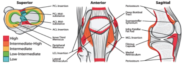 jbjs's tweet photo. Updated #JBJSClinicalSummary on #Pain Management after Total #Hip #Arthroplasty #THA
By: Tad M. Mabry, MD
https://t.co/tgpT3CY7oM https://t.co/YyvJOSvYco