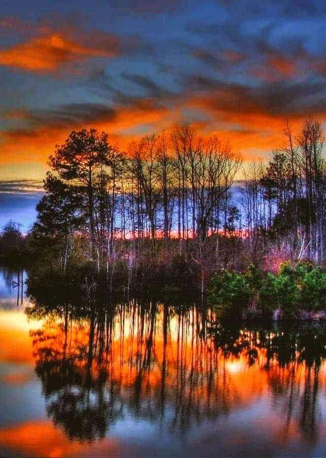 MaryCastro34's tweet photo. 💗💙🧡💛
#BeautifulSunset
#NaturePhotography
#BeautifulNature
#AmazingColors https://t.co/amjPnipC3G