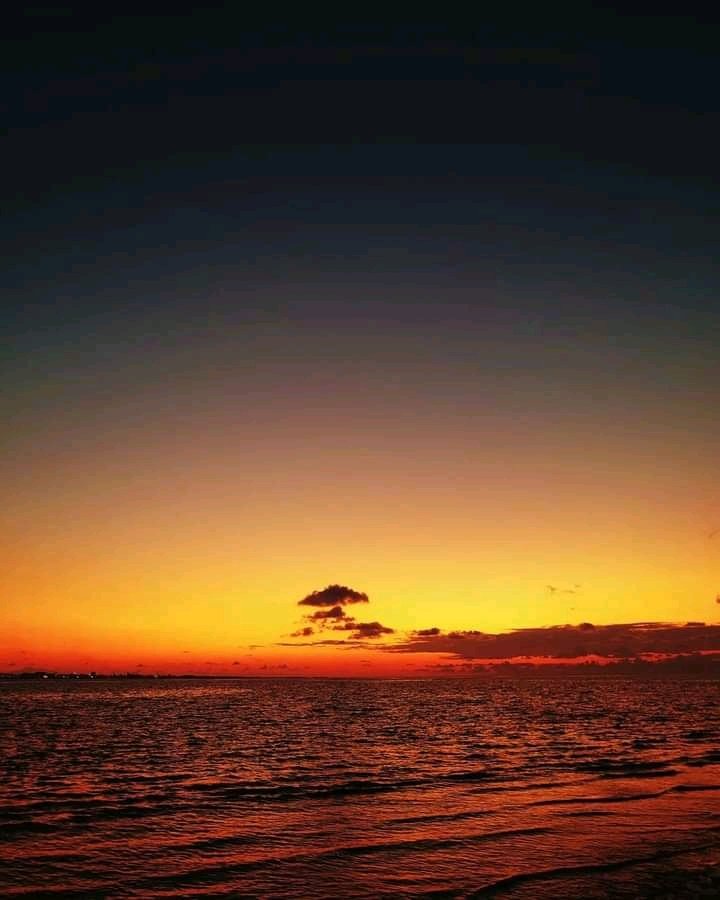 MaryCastro34's tweet photo. 💗💙🧡💛
#BeautifulSunset
#NaturePhotography
#BeautifulNature
#AmazingColors https://t.co/amjPnipC3G