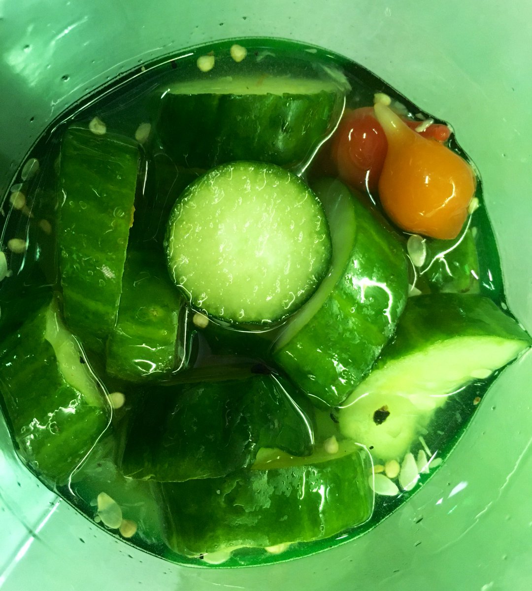 rowlobo's tweet photo. @rowlobo e seu extenso histórico de fracassos na cozinha…
#picles https://t.co/B0OdVlS136