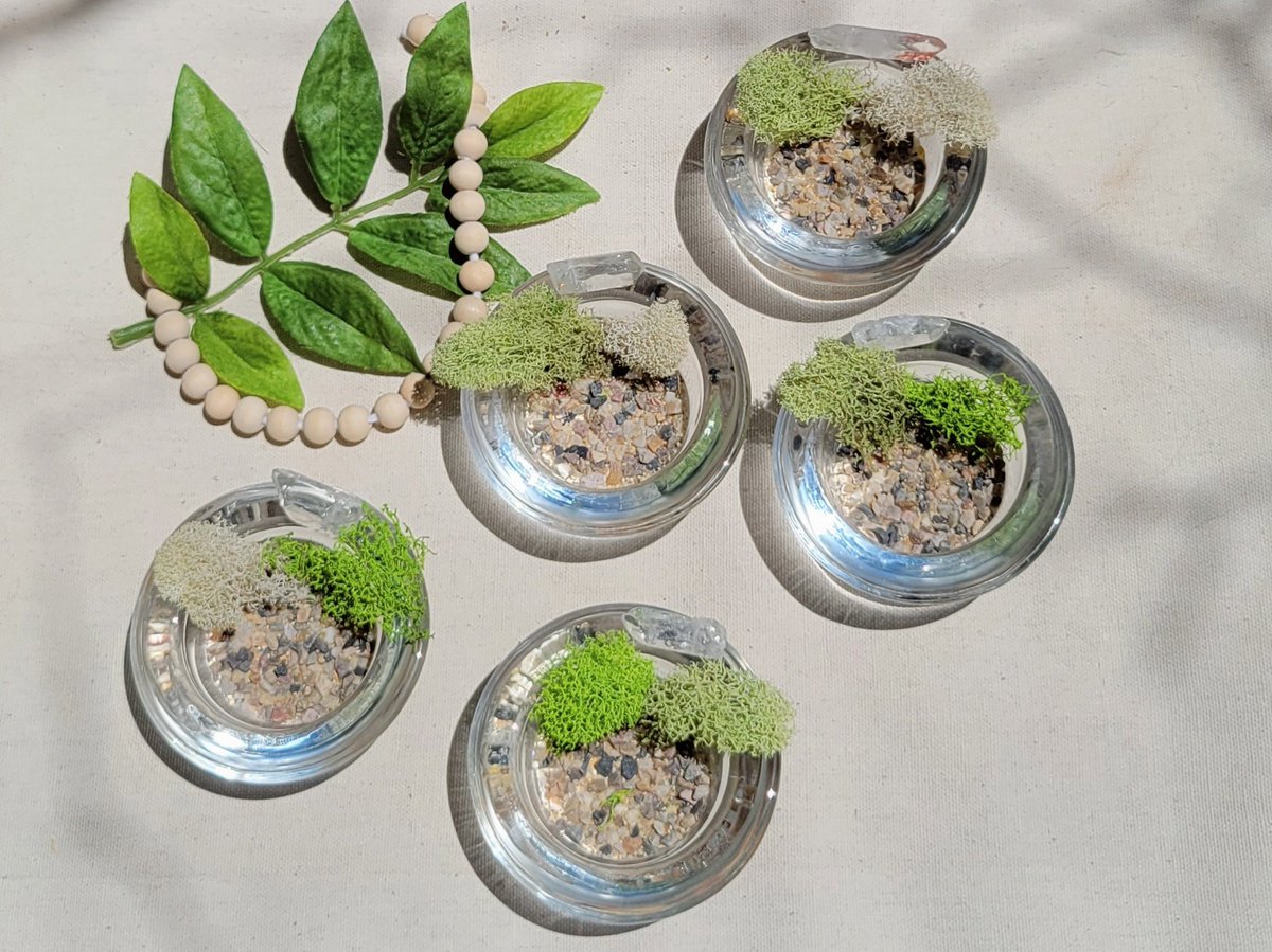 CraftsIdfk's tweet photo. EVERYONE LOOK AT THESE TRINKET TRAYS  I MADE THANK YOU 🌱 https://t.co/sGDESeSau7