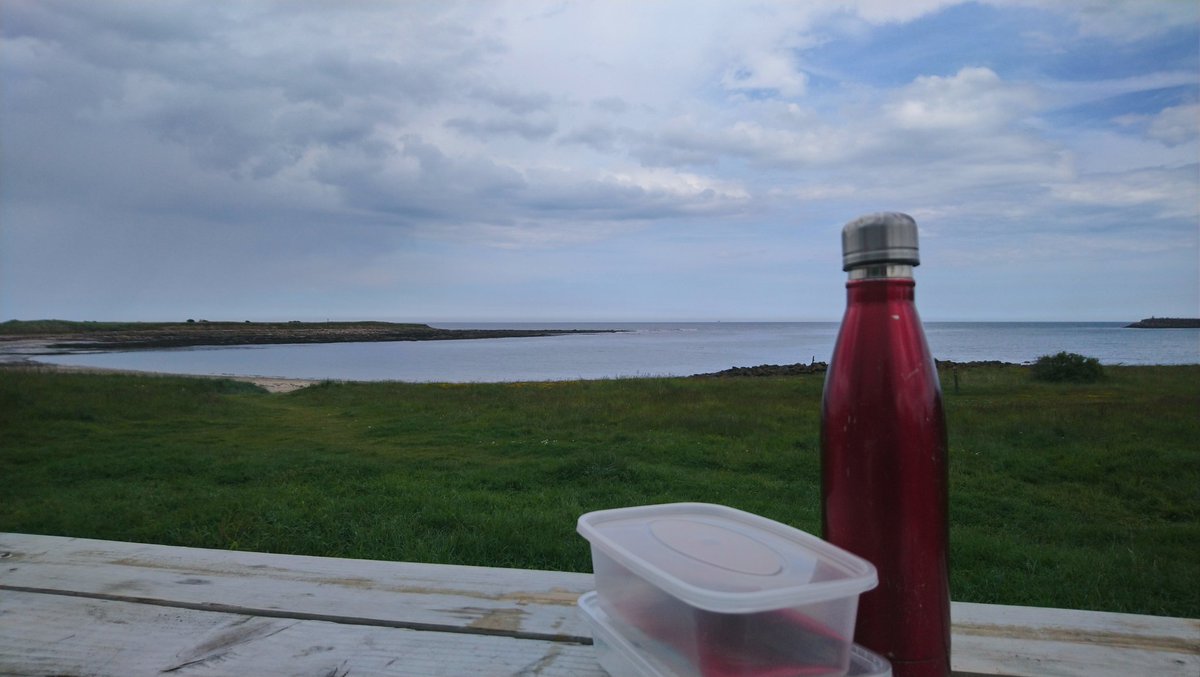 battybirder's tweet photo. Didn't manage a #wildbreakfast yesterday for day one of #30DaysWild, but did manage a #wildlunch today while on a little (but very lovely!) birding jaunt with the also lovely @joaniemac17
1 day and 1 meal late π
Stonechat, whitethroat & shag β
129, 130 & 131 for #My200BirdYear https://t.co/lSbaRkmXnn