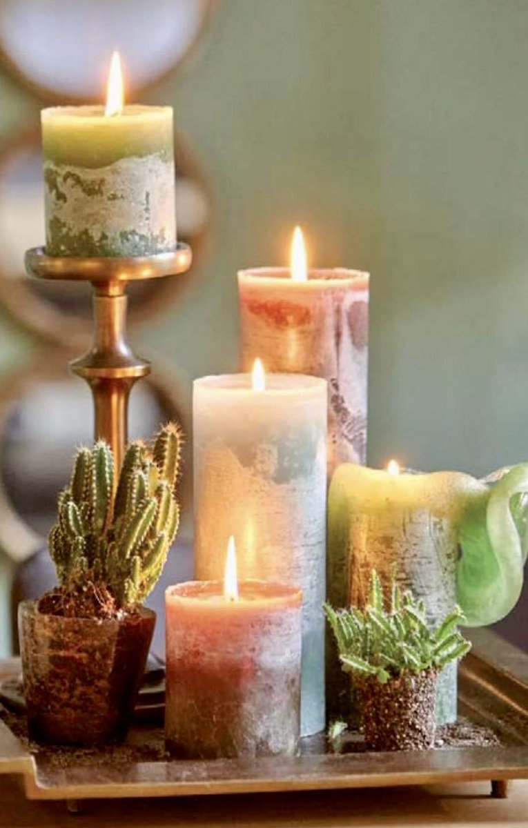 LejmanMargie's tweet photo. Good Evening! 🪴🕯💗🌵
#candlight #cacti https://t.co/mlIdKvzBY7