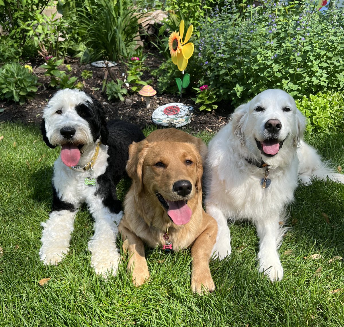 Wishing everyone a safe and relaxing summer! See you in the halls <a href="/GrayslakeNorth/">Knight Pride</a> in August 💛🖤