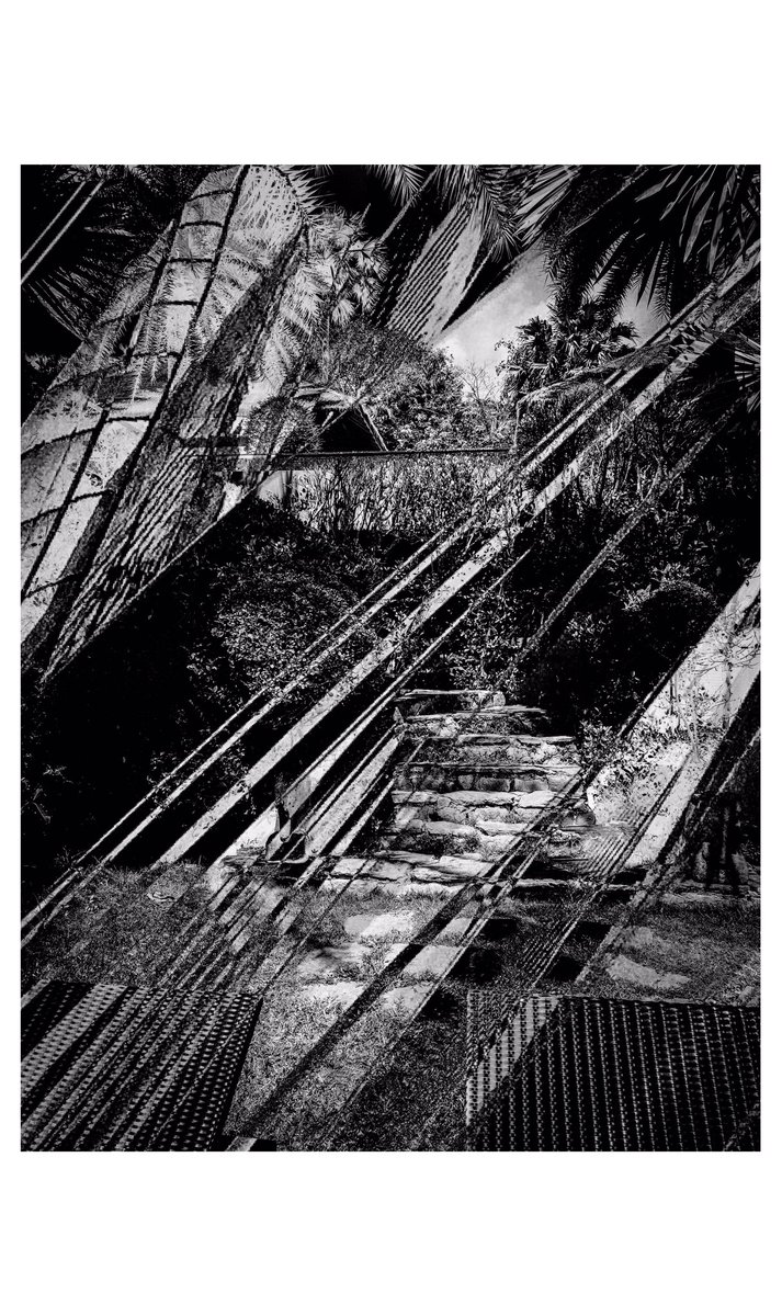 gotvshowtime's tweet photo. Tropical garden view through glass shards

#Monochrome #Abstract https://t.co/LFpJYpSOjY