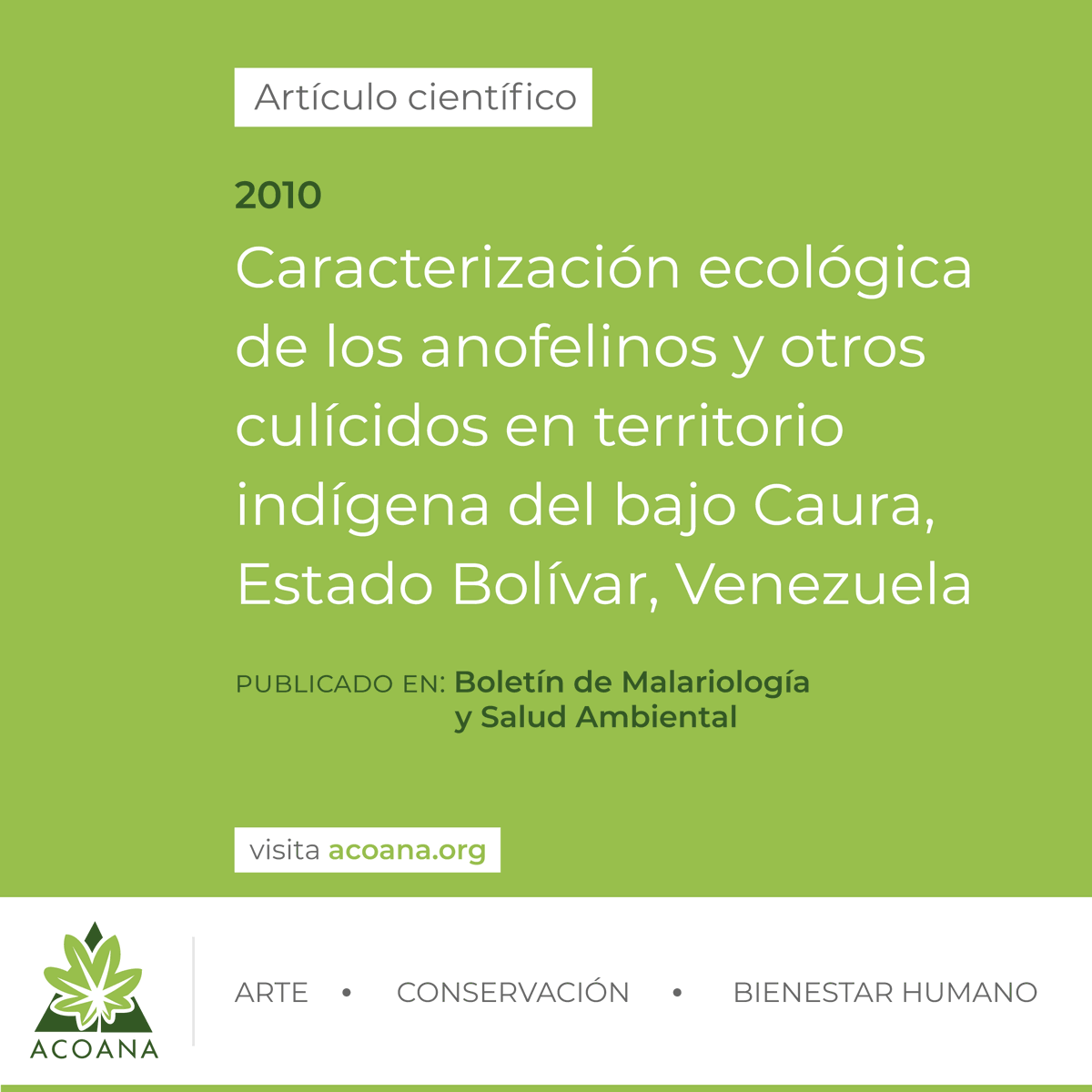 acoanaorg's tweet photo. #ArtículoCientífico | Caracterización ecológica de los anofelinos y otros culícidos en territorio indígena del bajo Caura, estado Bolívar, Venezuela #2010 https://t.co/s2GDAINudQ https://t.co/8PVFSNTiqB