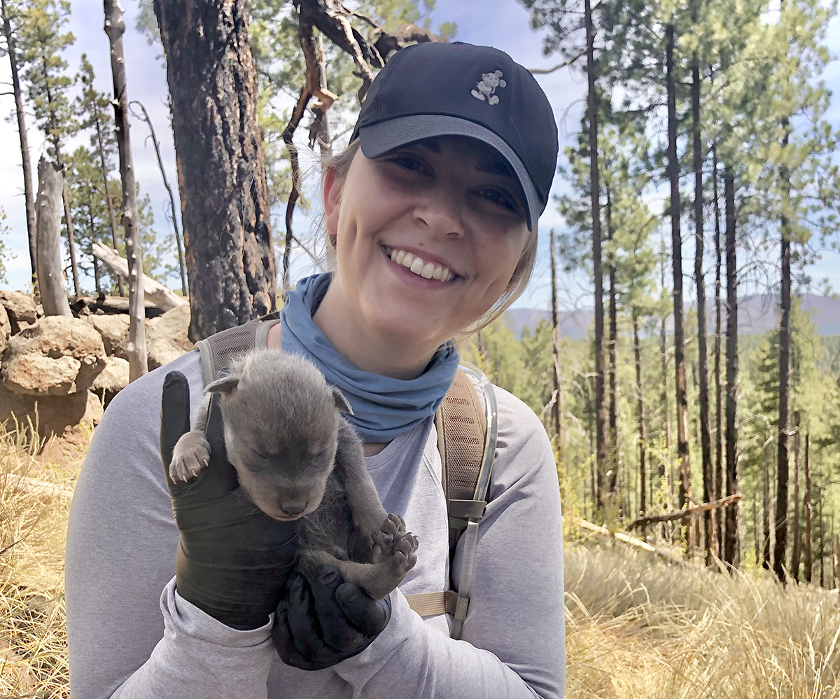 frontdoorsmedia's tweet photo. This week's edition of The Knock has some big news from Southwest Wildlife Conservation Center, new leadership at Ballet Arizona, some great event galleries and much more! Click the link below to read more:

https://t.co/cnN5BLb1uI https://t.co/fc2srtcse0