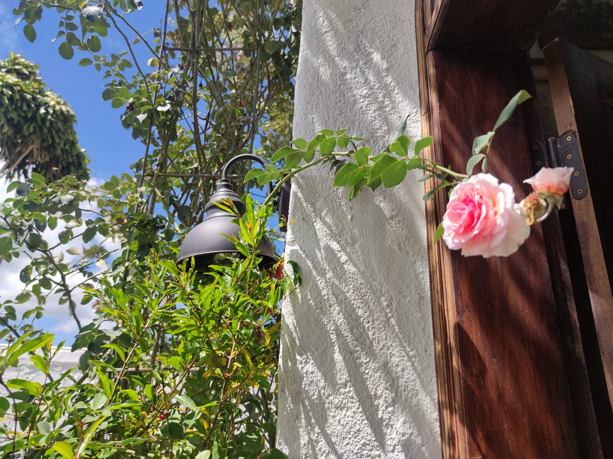 YoungEm76459994's tweet photo. It's June, I am working on letting go of things that drain my energy, we only have so much so why are we letting the energy that keeps us going be taken by things that really don't matter....it's time to fill ourselves with the good things again!
Make your June counts🌸💗💕 https://t.co/ezF6iEnRjs
