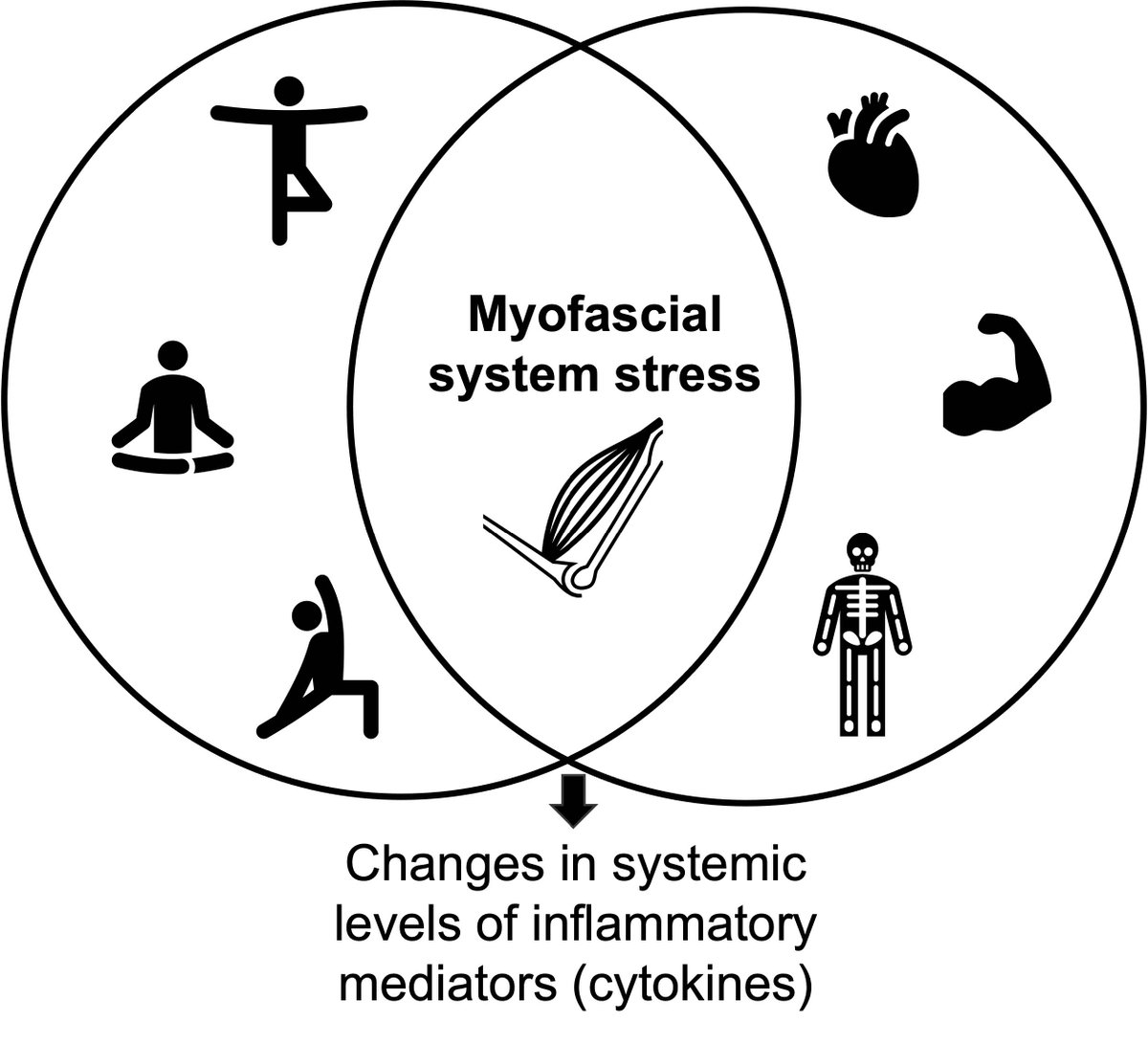 Dennis Muñoz-Vergara, winner of the #ISCMR Dr. George Lewith Poster Prize #IMCongress22. The effects of a single bout of high- and moderate-intensity #yoga exercise on circulating inflammatory mediators: a pilot feasibility study. iscmr.org/content.aspx?p…