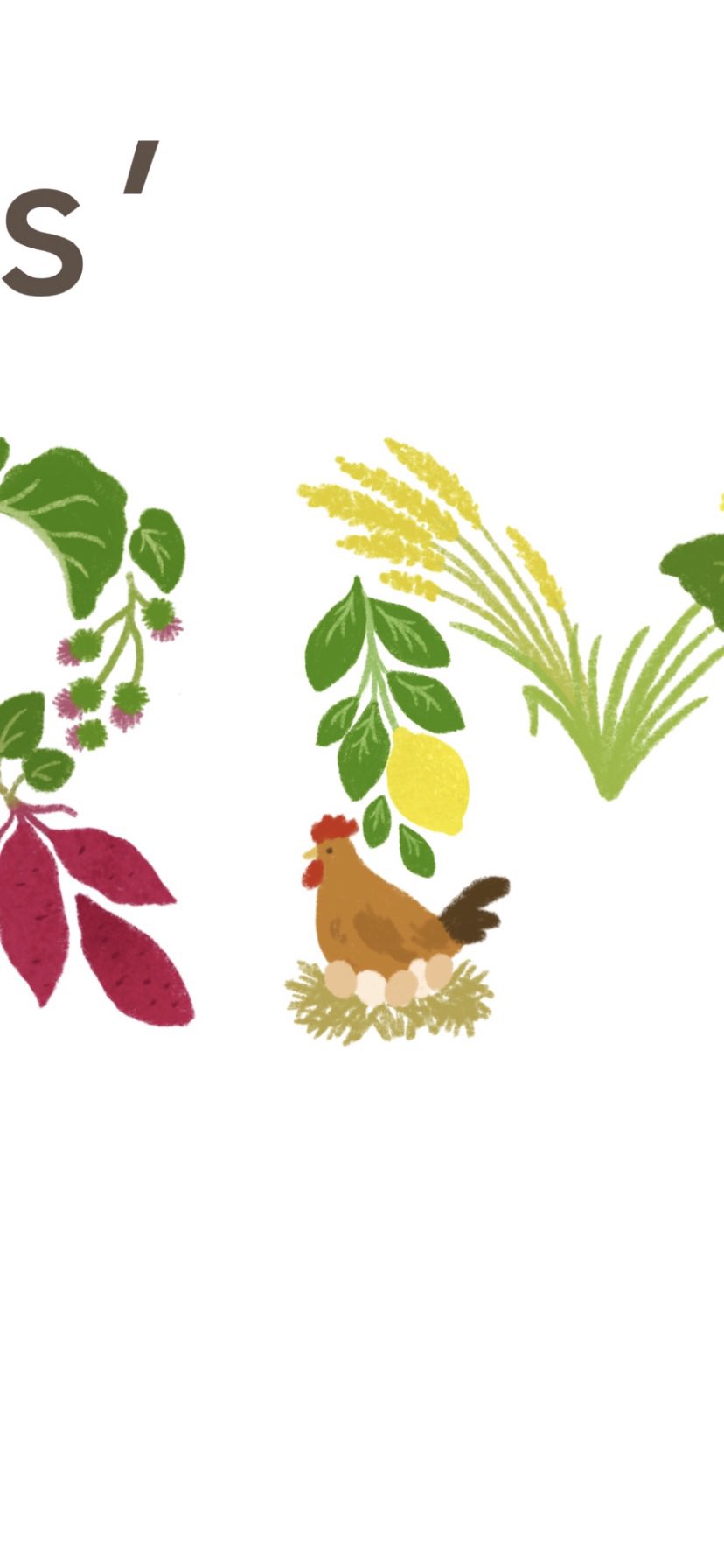 Makiko Abe イラストレーター 茨城県 日立市で 耕作放棄地を活用したアボカド栽培のソーシャルビジネスをされている Pieces Farmさんのイラスト を描かせていただきました お気に入りは です 文字 イラストたのしい イラストレーター 野菜