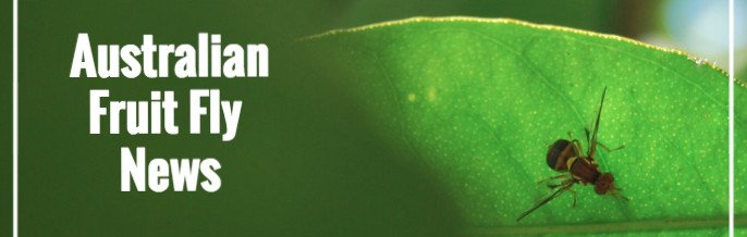 Fruit Fly ITTC tweet media