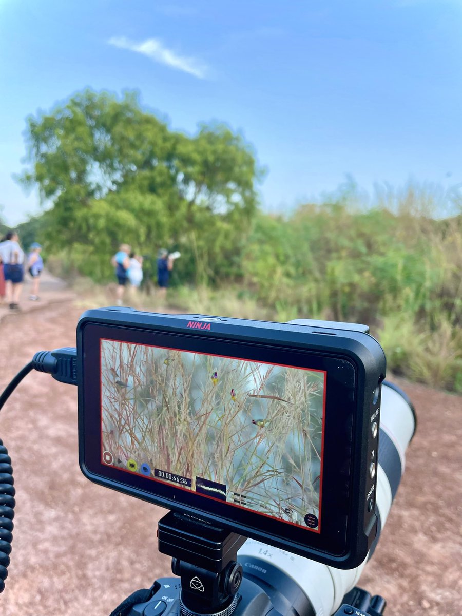 Lucyna Kania tweet media