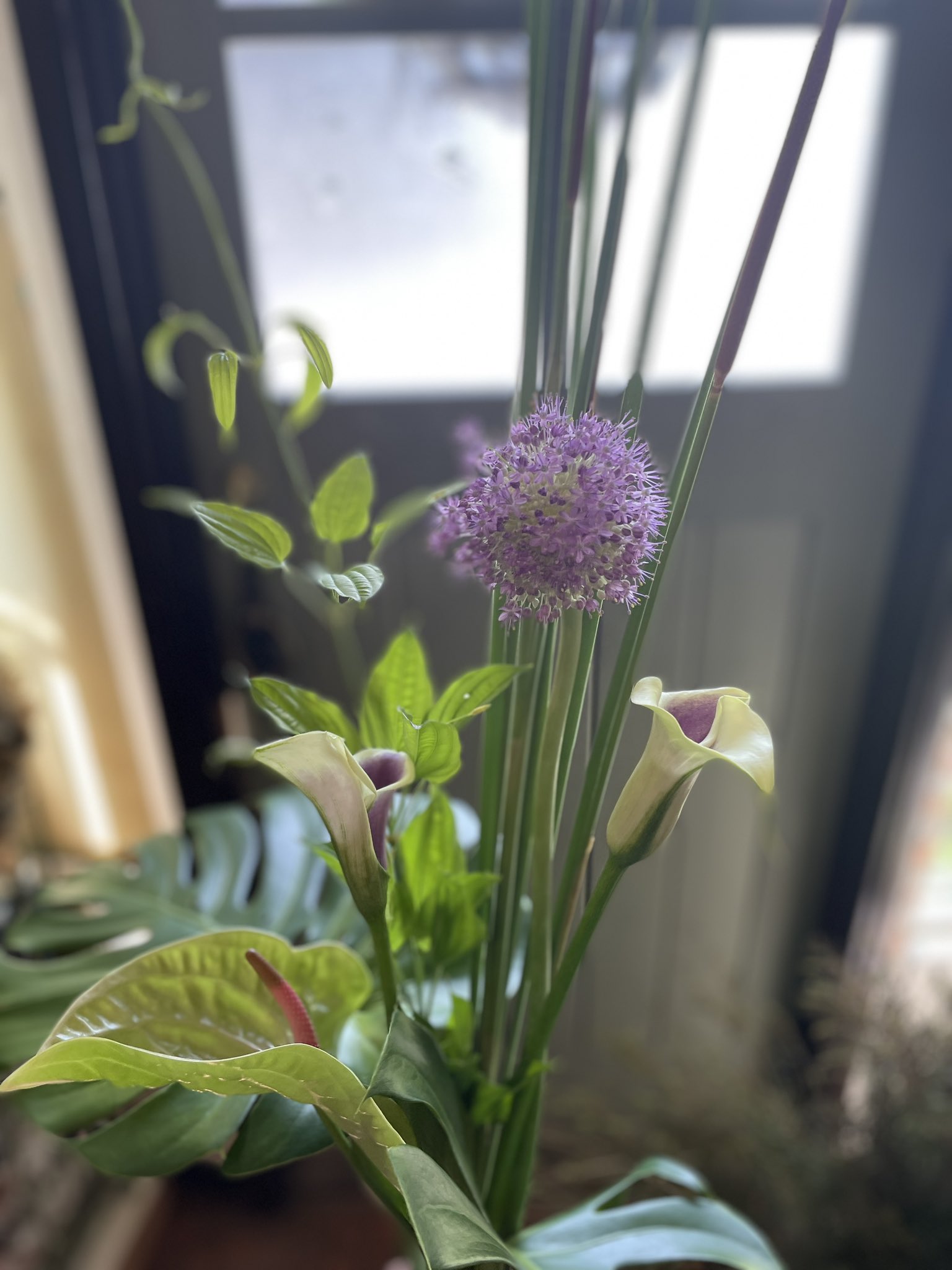 Flower Work Akkord Fakkord Twitter