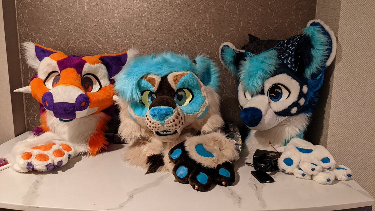 VicDerps's tweet photo. The cuties have arrived 😻 https://t.co/CpmV8jGine