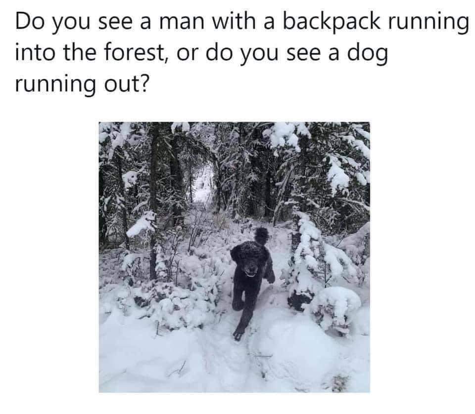 TeacherGoals tweet media