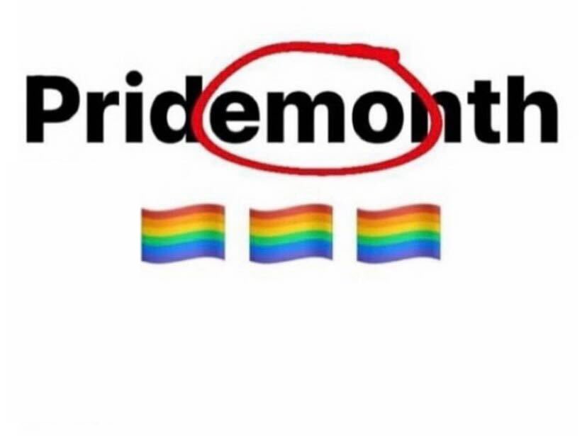 emonitela's tweet photo. hi gay! https://t.co/qFpqVP45LR