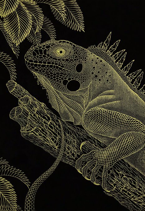 「IGUANA」
完成いたしました。
皮膚の質感、陰影などにこだわりながら作りました。
ウロコの一枚一枚、コツコツと頑張ったのでたくさんの人に見てほしいです。
#切り絵
#拡散希望 