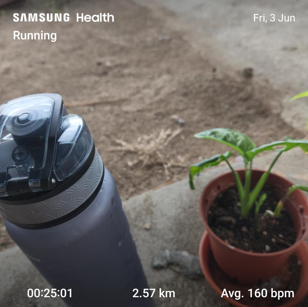 azamrosli_18's tweet photo. Good Morning ☀️
#fitback
#maf2 https://t.co/TeGJem5Nh6