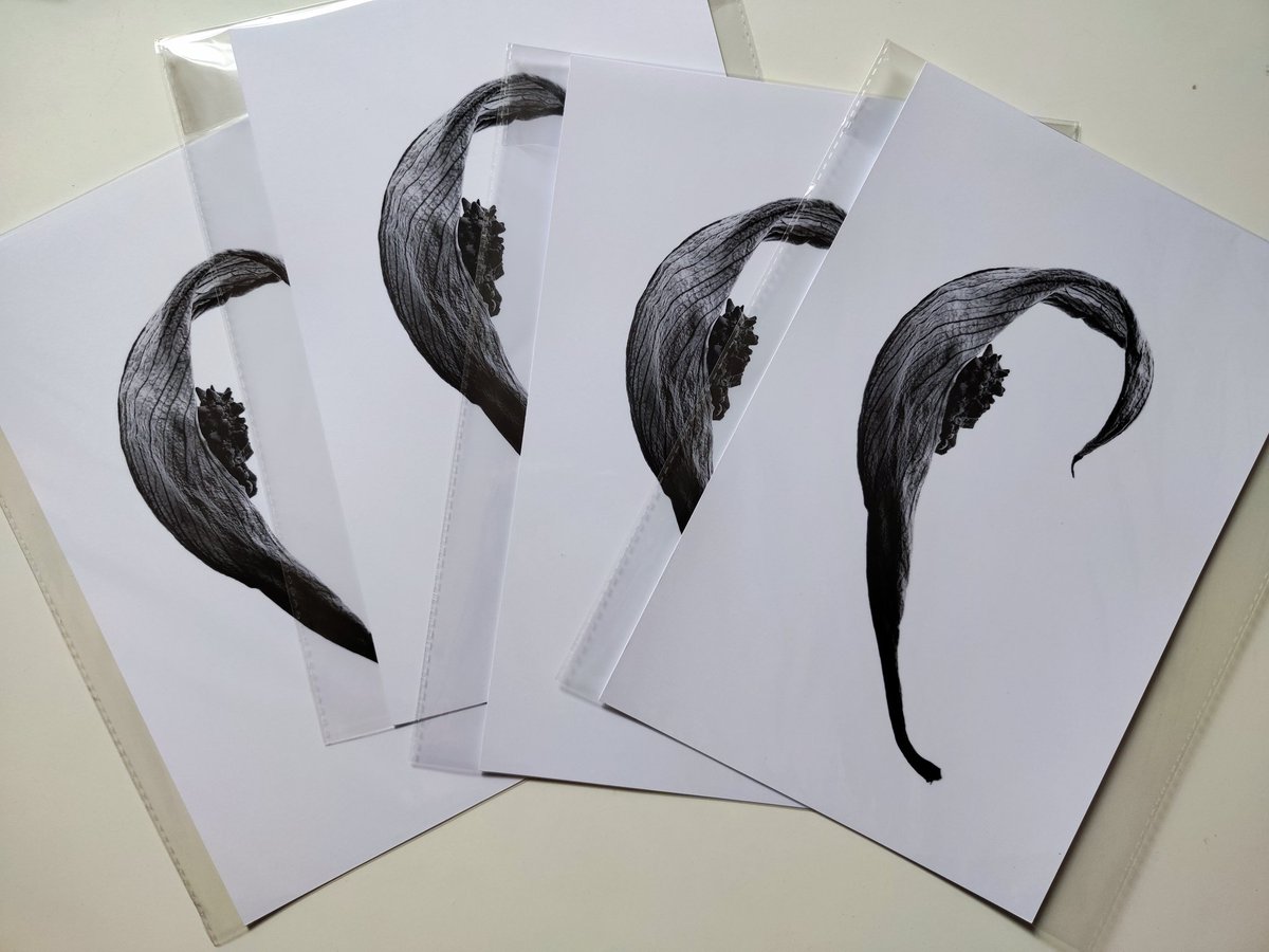 Prints de un nuevo proyecto que presentó en <a href="/Russafart/">Russafart</a>.
Sólo he producido prints muy limitadas y estas son algunas de ellas.
Corre a hacerte con ellas o bien reserva si vienes el último día y no quieres quedarte sin.
Tamaño: 20x30cm, papel SotfTouch de 300gr.
#arte #photo