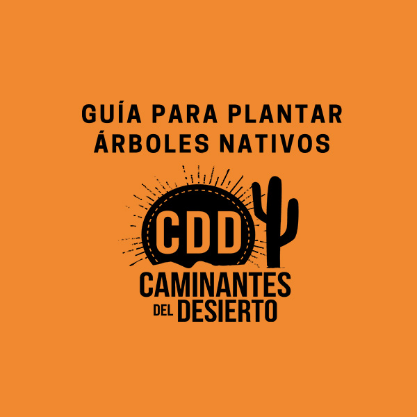 Caminantes del Desierto A.C. tweet media