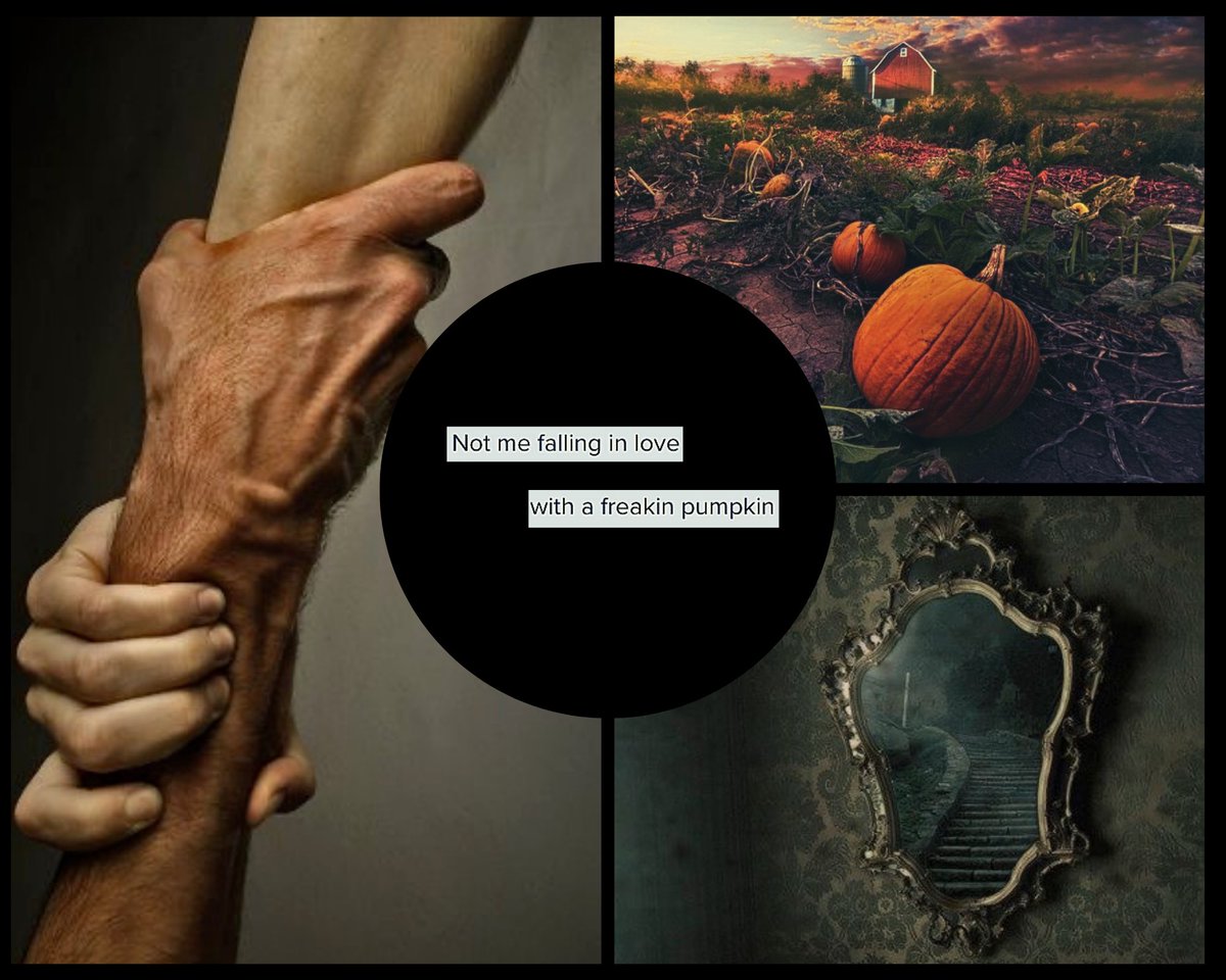 🧍hi, i write unhinged romance novels now