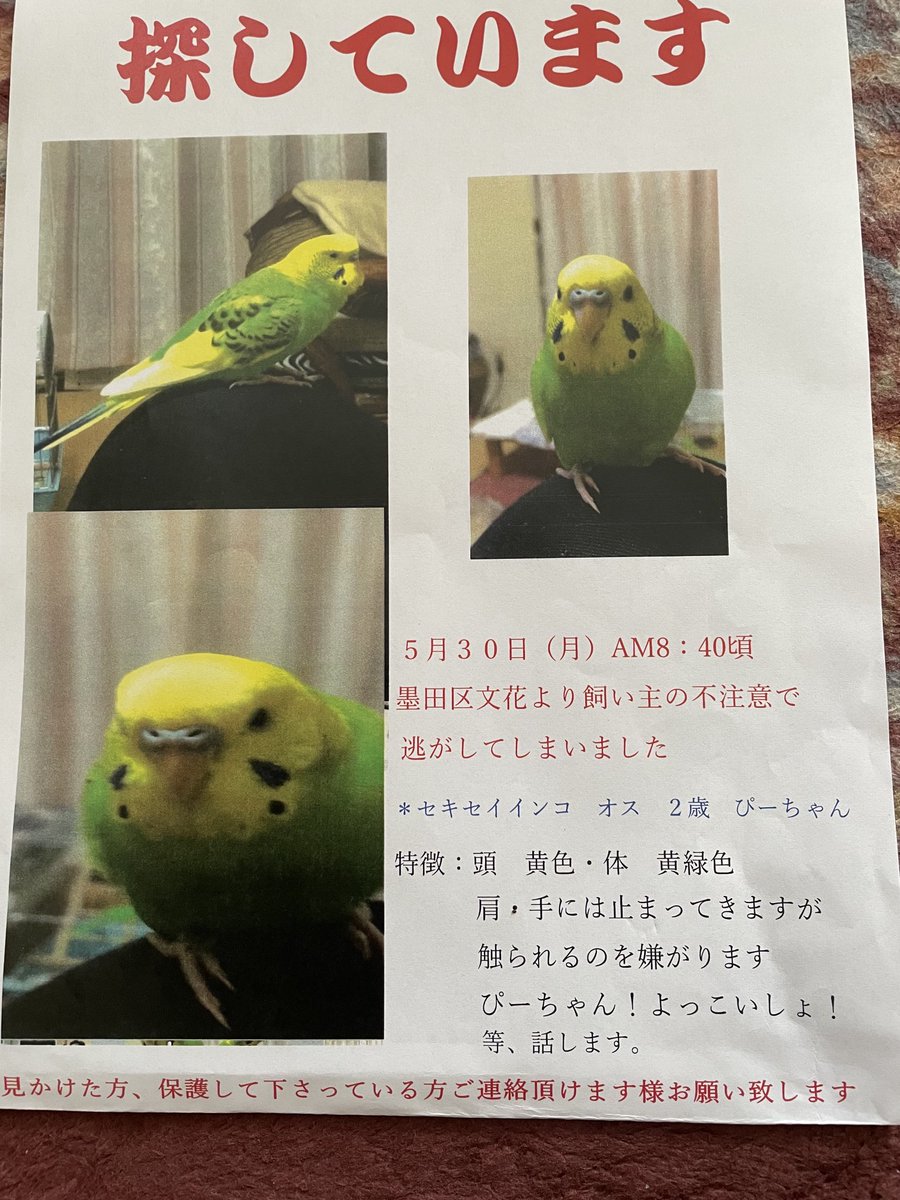 Gonchan1 Gonchan116 Twitter Gonchan1 Gonchan116 Twitter