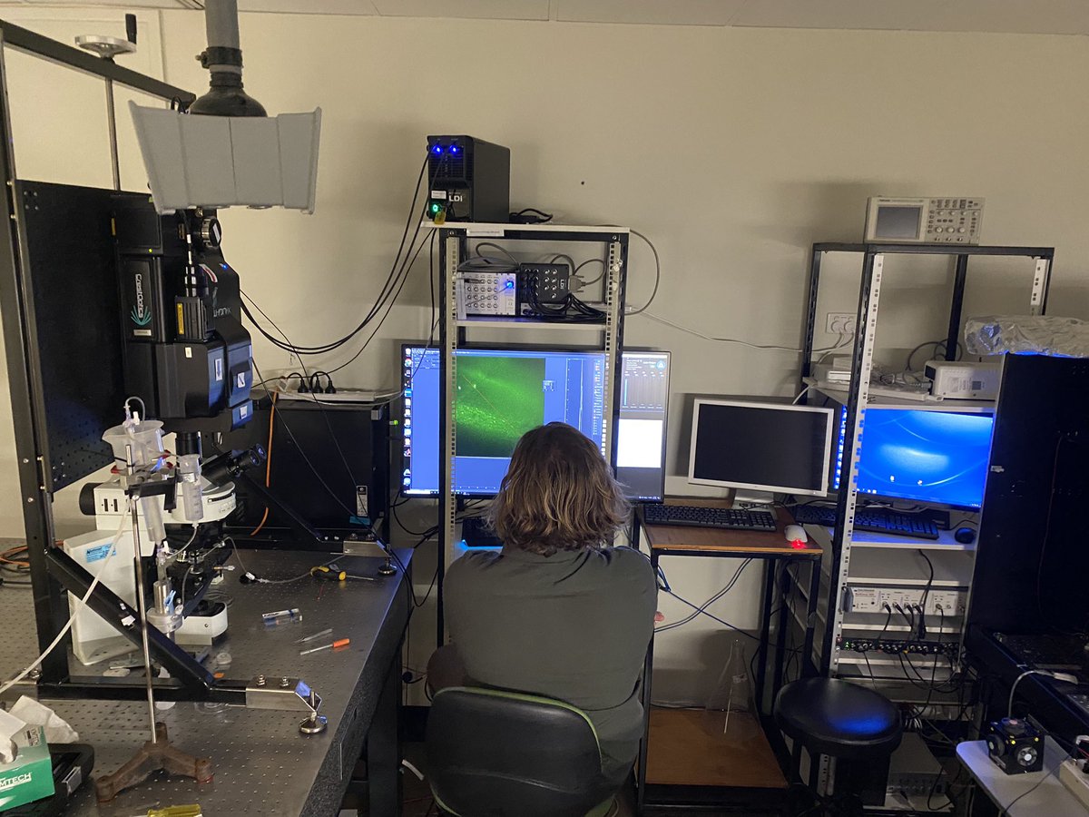 @TJBrowne_SCC <a href="/cord_group/">Spinal.cord.connections.group</a> <a href="/AusPainSoc/">Australian Pain Soc</a> <a href="/Uni_Newcastle/">University of Newcastle</a> @NewyBrains